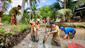 TÁT MƯƠNG LÂU NĂM BẮT TOÀN CÁ KHỦNG - CHÒI LÁ QUÊ # T 124