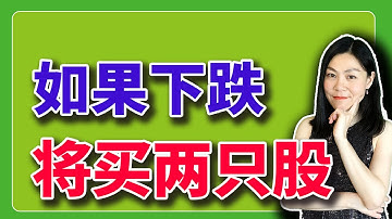 美股：如果下跌，我会买入的两只股。片尾彩蛋，难得一见了最近