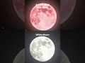 Why the Moon Changes Color in 2026 🌕🌈 | Dates &amp; Months Explained #Moon #Shorts #spaceexploration