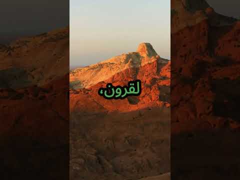 بترا المدينة المنحوتة في الصخر أسرار حضارة الأنباط