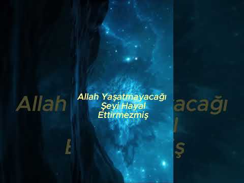 Hayal Kurmayı Bırakmayın
