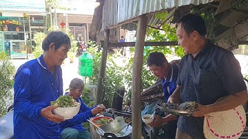 Cá Lóc Đồng Làm 2 Món Trong Ngày Ghé Thăm Ông 9 Lò Rèn.Góc Làng Quê #584