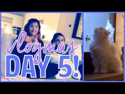 12 Days of Vlogmas Day 5! // Glam Planner Party and Mini Office Tour!