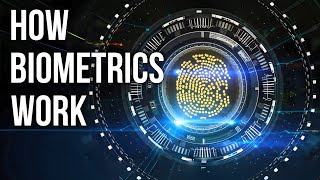 Cracking the Code: Demystifying Biometric Authentication Secrets!
