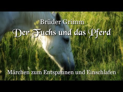 Der Fuchs Und Das Pferd Marchen Der Bruder Grimm Fur Kinder Und Erwachsene Khm 132 Youtube