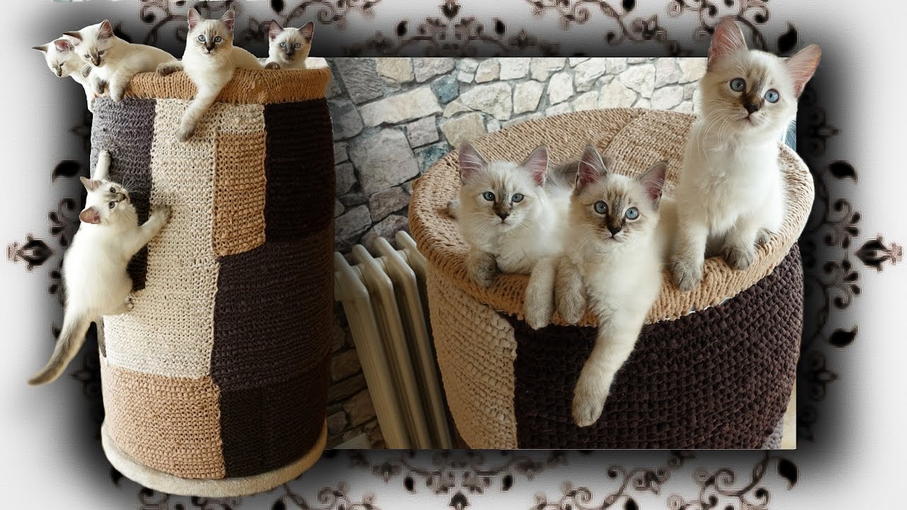 DIY 😻 Kletter Tonne für Katzen | Scratching Barrel Condo for Cats