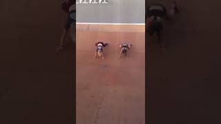 Girls twerk on halfpipe as skateboarder rides by and falls halfpipe