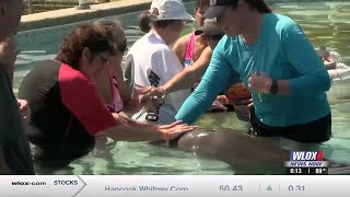Marine animal experience provides life long memories for blind, deaf group