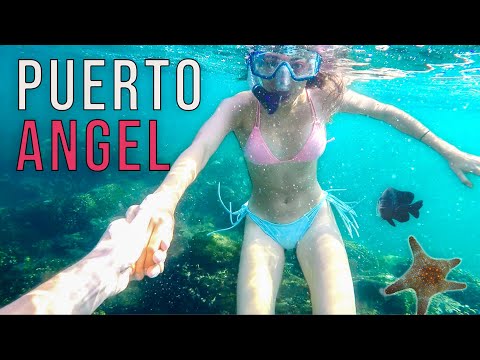 We found the BEST snorkeling on the coast of Oaxaca! | PUERTO ANGEL, MEXICO