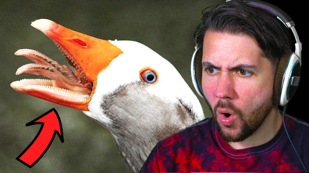 Creepy Things Humans Shouldn't Find Out