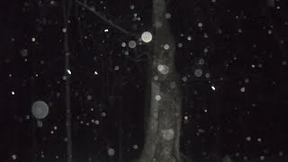 The story of Ohio's tragic Utopia. 