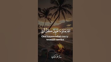 سورة الرعد آيات تلامس القلوب وتبعث الطمأنينة | Surah Ar-Ra'd Heart-touching Verses Bringing Tranqu