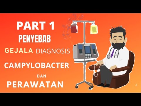 Penyebab, Gejala, dan Diagnosis Campylobacter