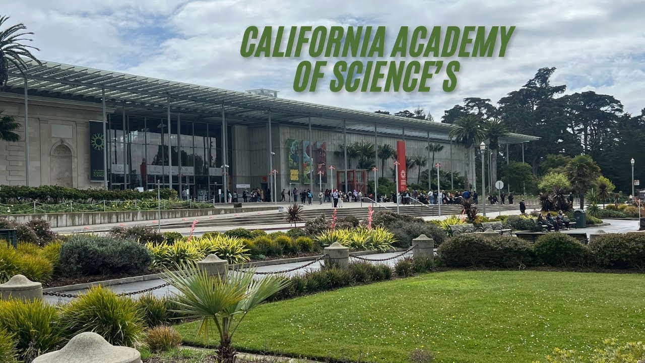 Калифорнийская академия наук в Сан-Франциско