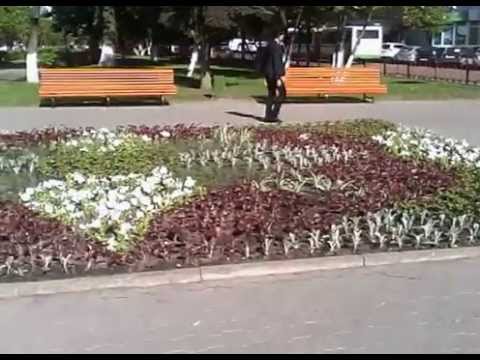 Подмосковная клумба 3