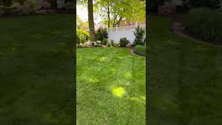 Eat. Sleep. Mow. Repeat #foryou #lawncare #lawnmowingbusiness #fyp #shorts #mowing #landscaping #mow
