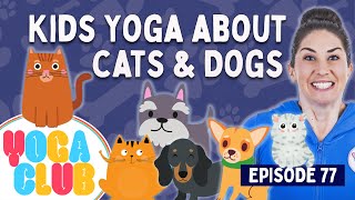 Yoga Club about  Cats & Dogs (Week 77) 🐾 I  Cosmic Kids Yoga screenshot 5