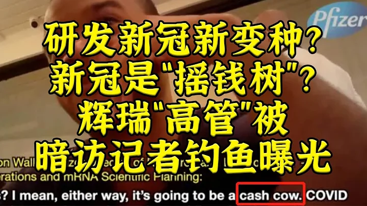 輝瑞高管暗訪風波，新冠是“搖錢樹”、還研發新冠新變種？ - 天天要聞