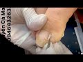 How to Repair Nails easy # 439 - Xuyen Nail