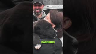 😍 Deixa o like para esse cachorrinho novo lar #cachorro #dog #pet
