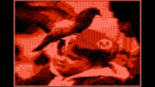 Sunsoft Mario Bros. (NES Hack) Gameplay (EPILESPY WARNING!!!)