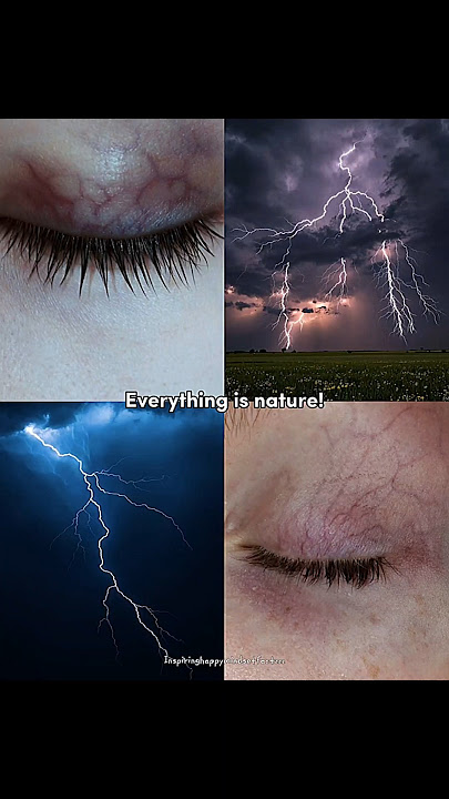 Everything is nature 🍂 #shorts #beautiful #relatable #shortsfeed #trending #aesthetic #nature #fyp