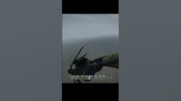 ❗ DayZ Баг игры #shorts #dayz #dayzstandalone #podpivas #dayzgameplay #дейз #дейзи  #dayzraid