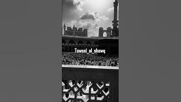 Thumbnail of Taweel Al Shawq (Slowed + Reverb) 🌙
