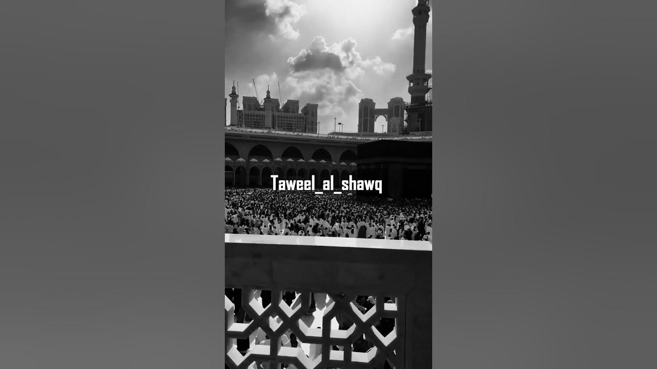 Taweel Al Shawq (Slowed + Reverb) 🌙