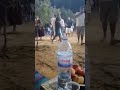 يا بدع الشاعر لزهر الحسني يا بدع الشاعر لزهر الحسني