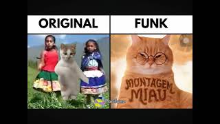 The Original Video Of The Meow Meow Song Then Vs The Phonk One