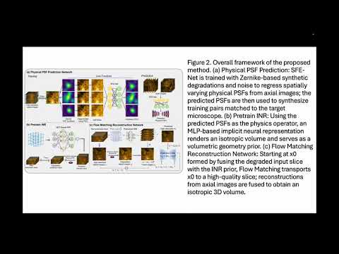 MicroFM: Physics-guided Flow Matching for Isotropic Microscopy Reconstruction | CVPR 2026