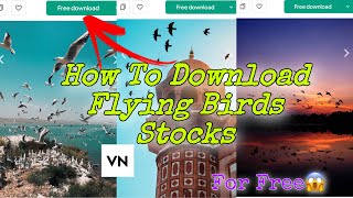Download Flying Birds Stocks For Free😱 | Aesthetic Video Editing Tutorial #editingtutorial #reels screenshot 3
