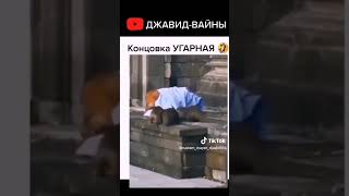 Озвучка От Джавида Мир Животных #Озвучка #Шортс #Джавид