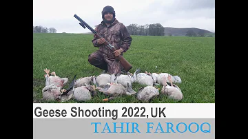 Geese Shooting / Hunting with Tahir Farooq -  2022, UK, Shotkam Captures