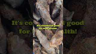 Guess game! #medicinal #medicinalplants #travel #marayur #indigenoushealing #plants #plant #viral