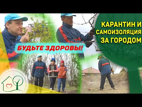 Что делать на карантине за городом? Карантин на даче #StayHome (Оставайтесь на даче)