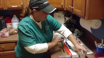 The Technician Edition: Fecal Egg Counts and De-worming Horses.