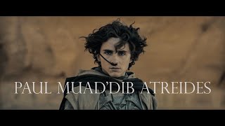DUNE 2 | Paul Muad'Dib Atreides Duke of Arrakis | Lisan al-Gaib | 4k