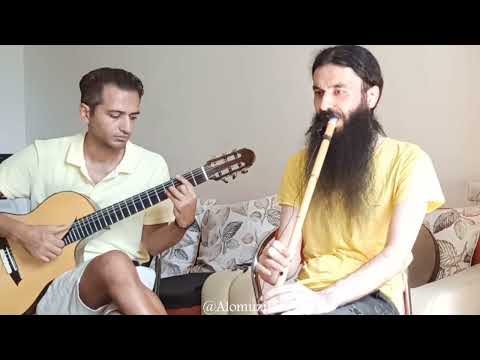 مخلوق گوگوش