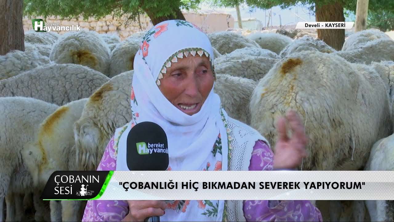 Çobanın Sesi - Kayseri / Develi