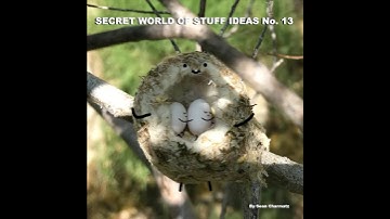 Secret World of Stuff Ideas No. 13