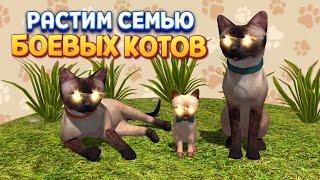 РАСТИМ СЕМЬЮ БОЕВЫХ КОТОВ ( Cat Simulator ) screenshot 3