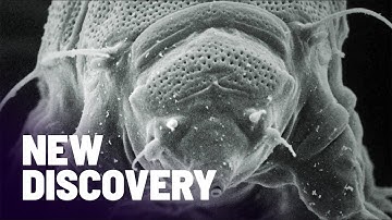 Scientists Discover The Secrets of Cells Using Ultra-High Tech