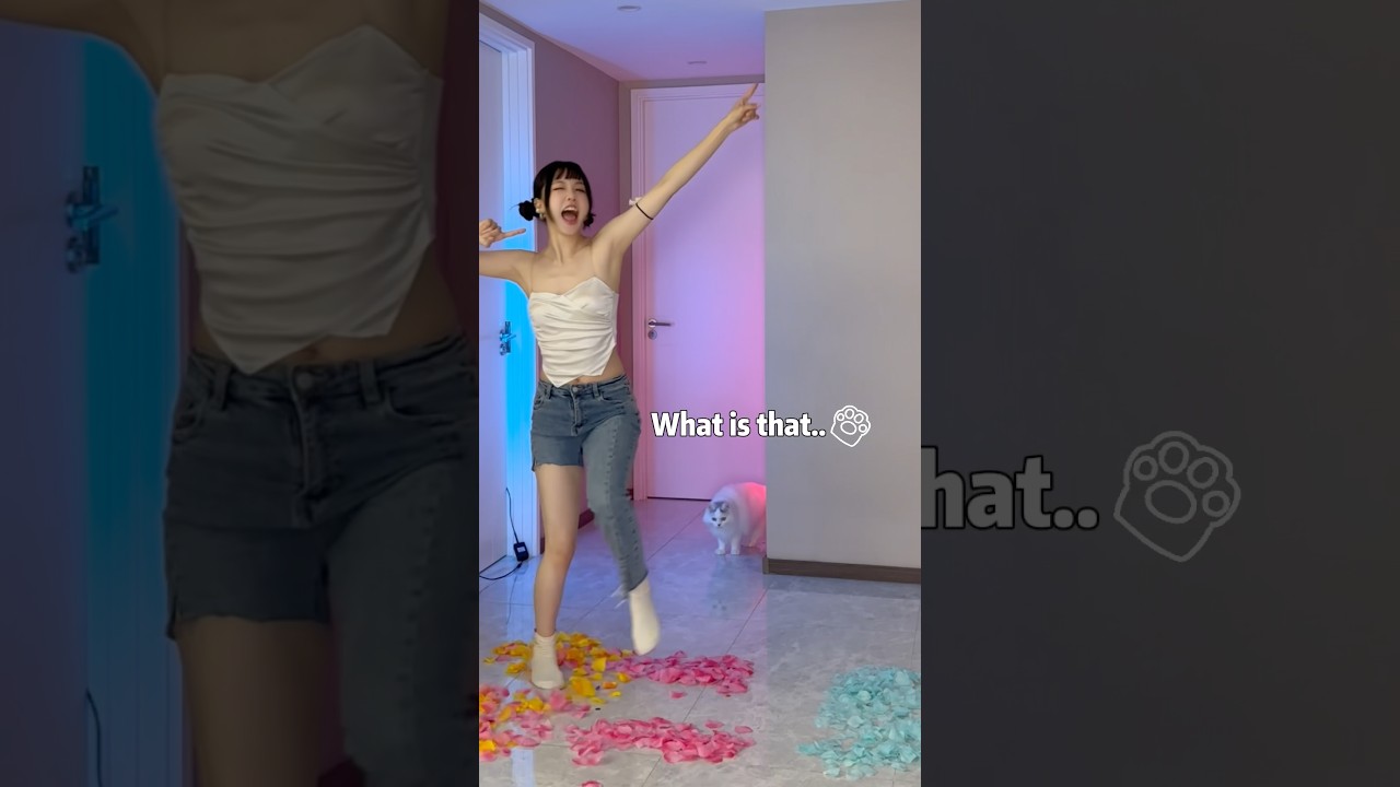 🐱:What are you doing..🤣#couple #dance #funny #zoey #cat