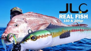 Discover JLC Real Fish Soft Bait Lure screenshot 5