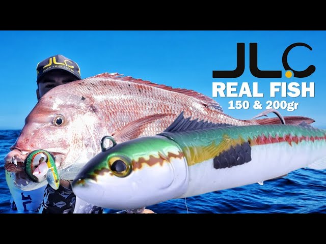 Discover JLC Real Fish Soft Bait Lure 