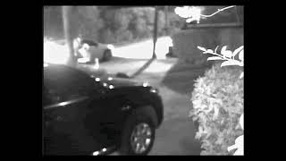 Kealoha Mailbox Theft Surveillance Video Update