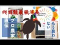爬虫類の最強消臭床材の作り方をプロ農家が考えました!