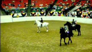 HPIM5857.MPG  Big E 2011 Draft Horse Show